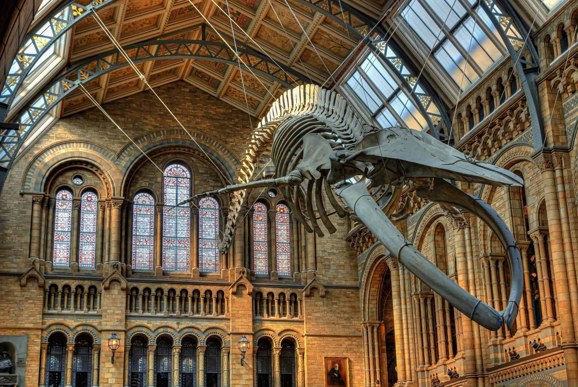 natural history museum