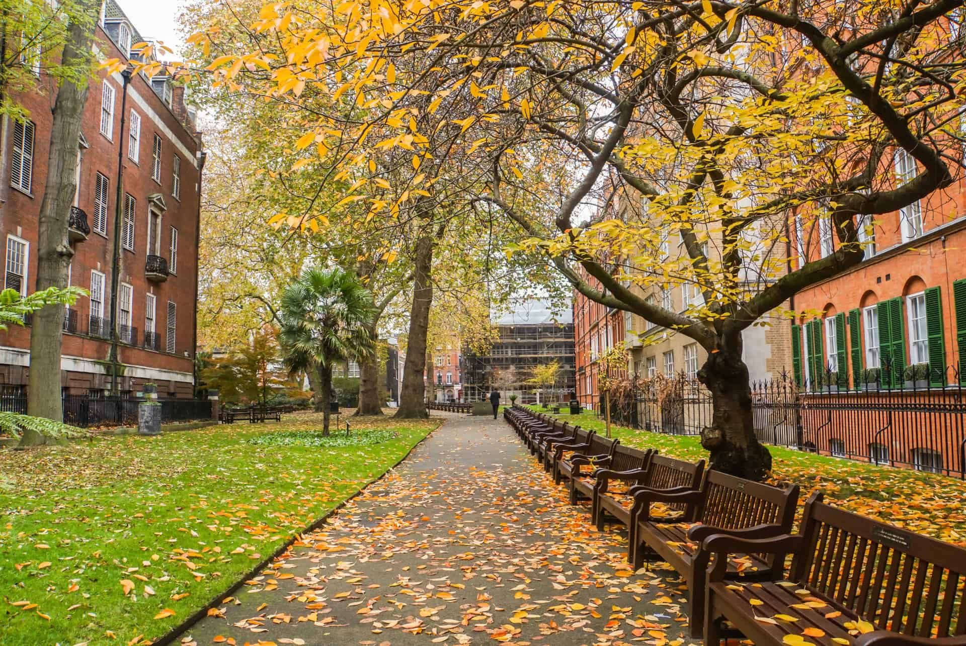 londres en automne parc