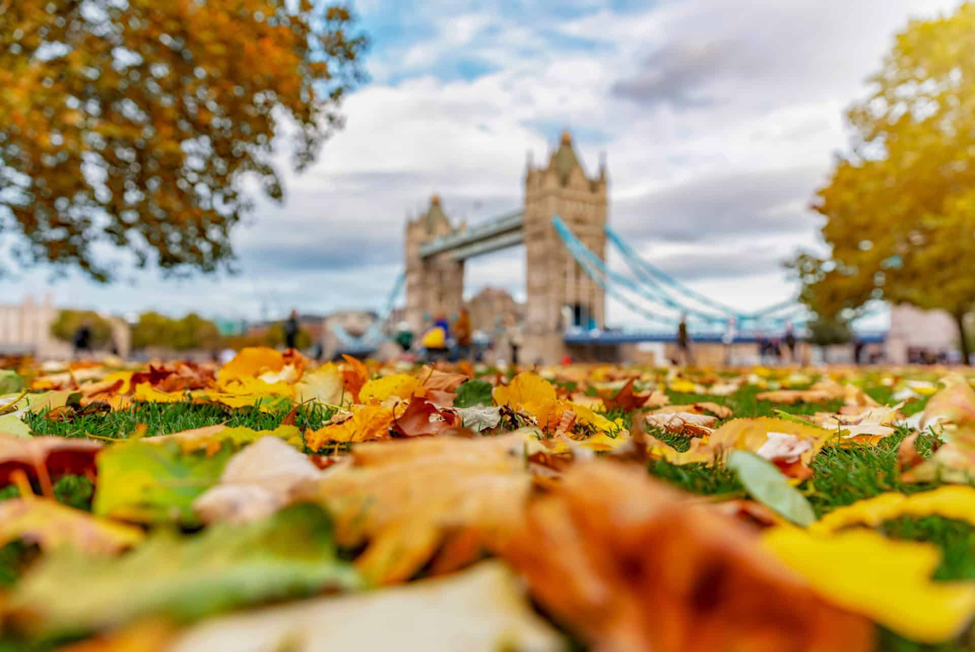 Londres en octobre