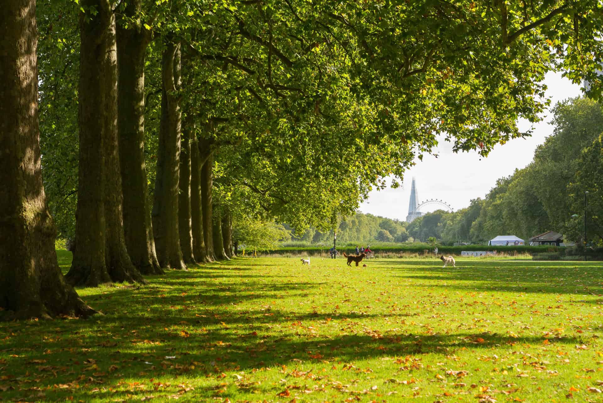 paysage de hyde park en automne