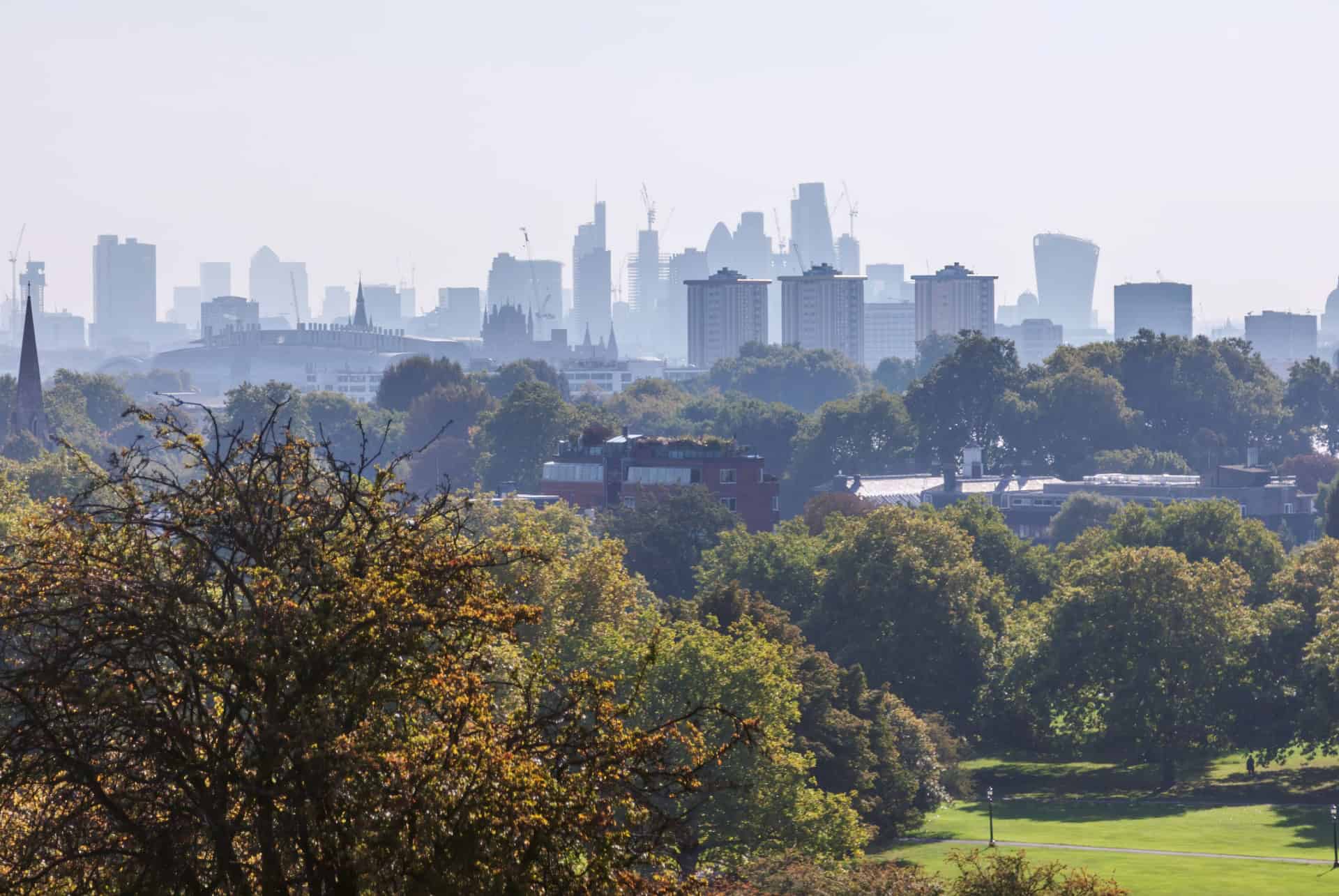 Primrose Hill