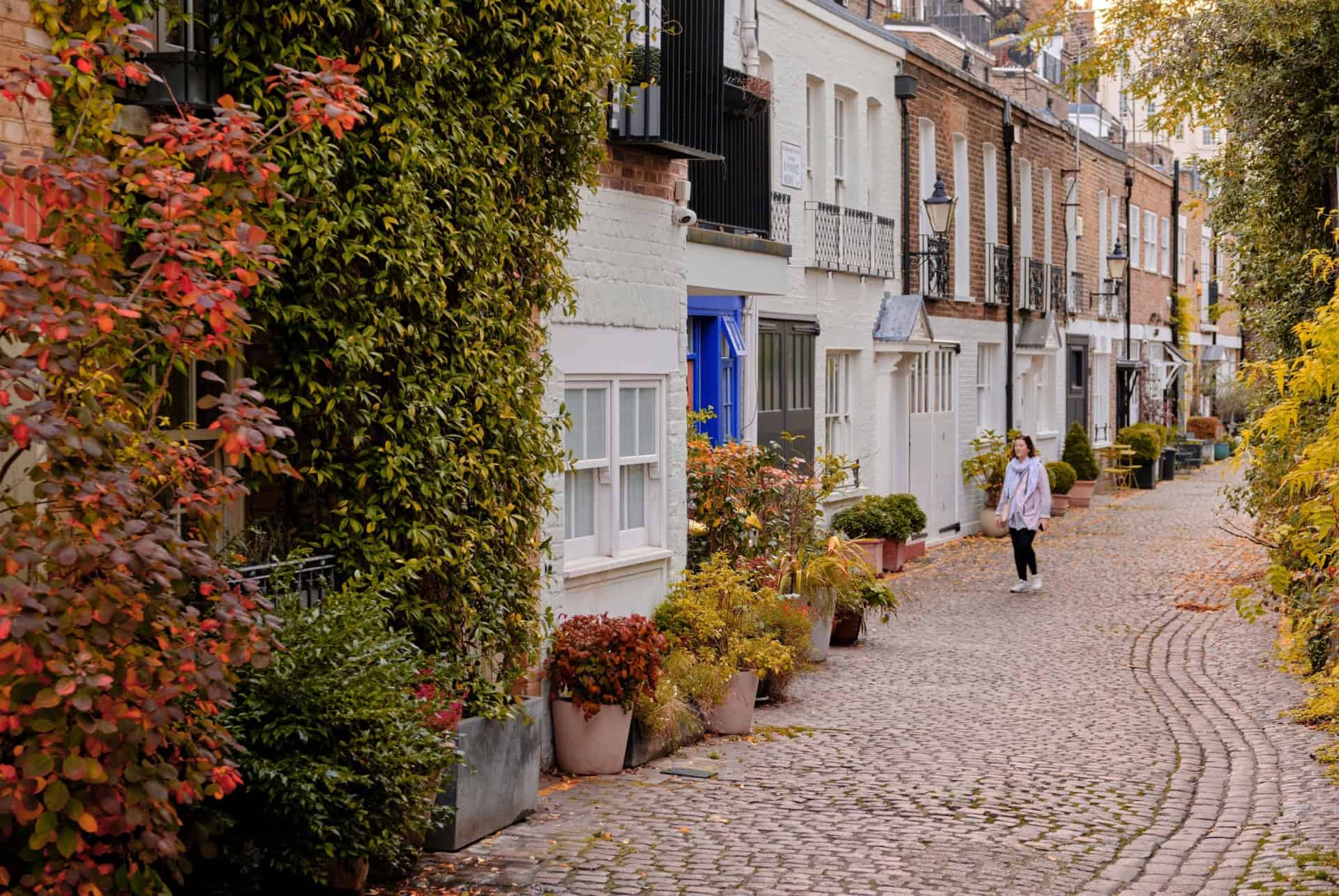 kynance mews
