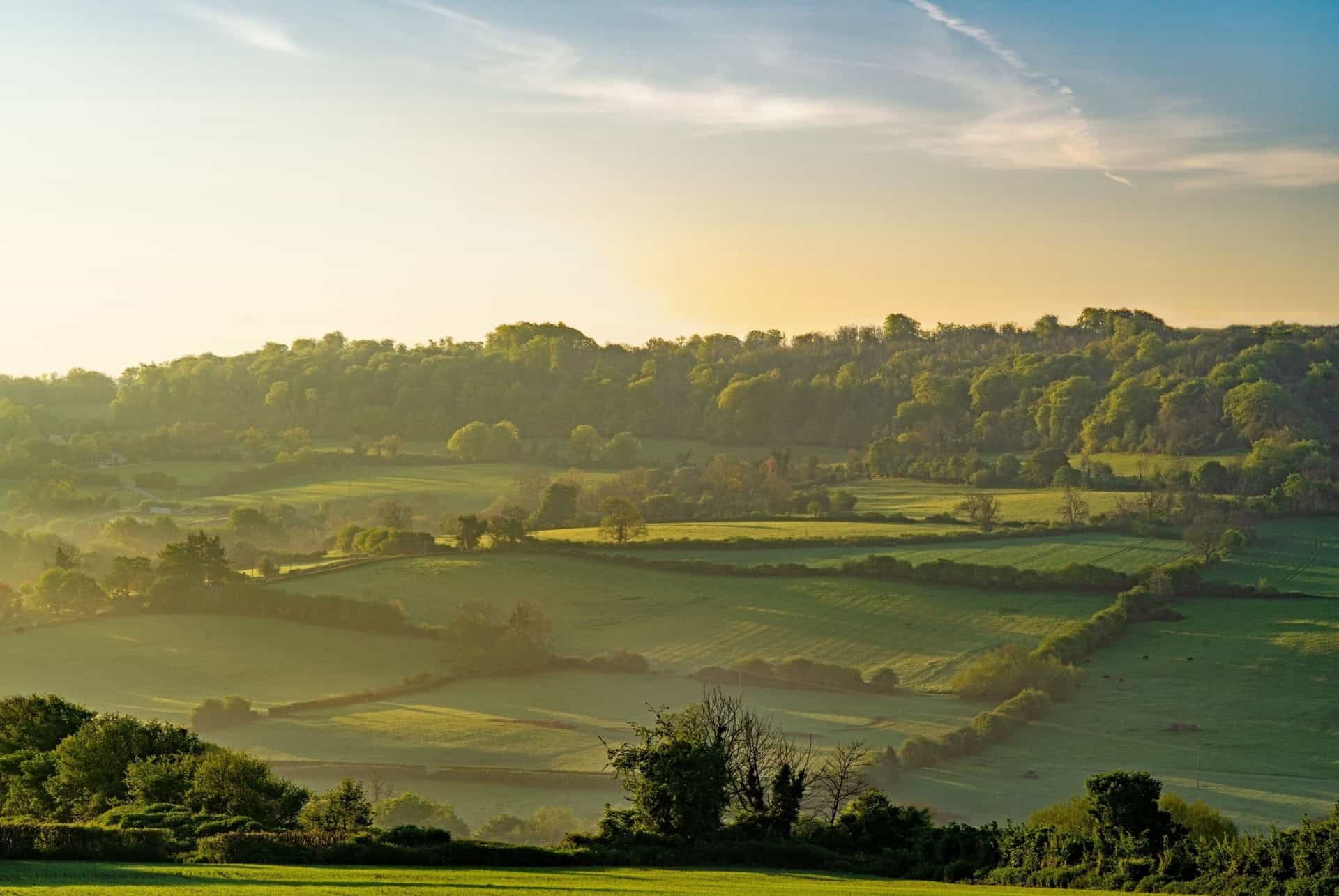 prairies cotswolds