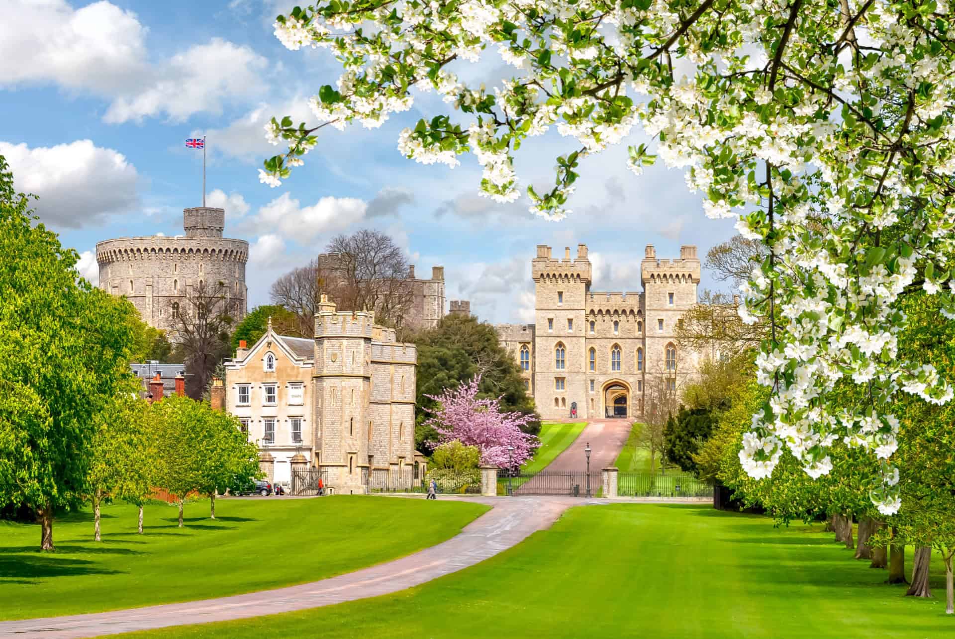 windsor printemps
