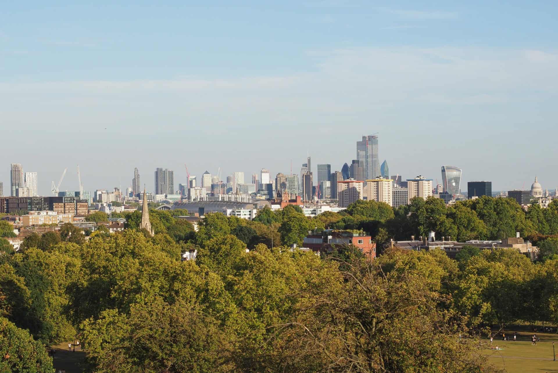 primrose hill