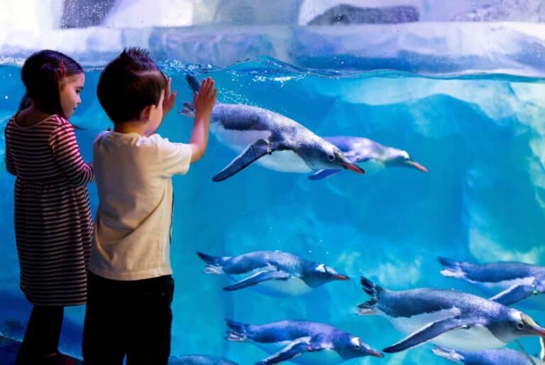 Aquarium SEA Life Londres