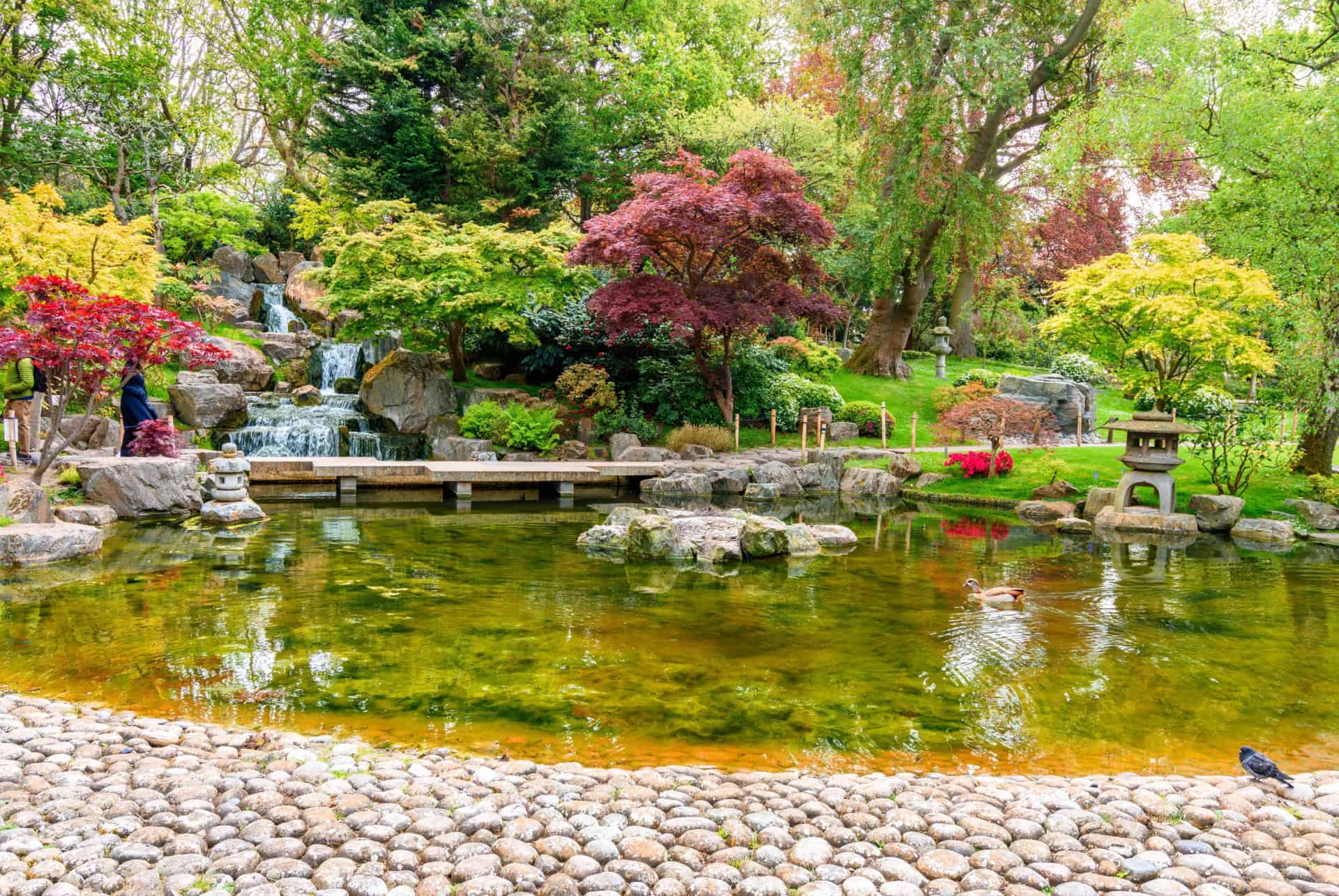 kyoto garden holland park londres