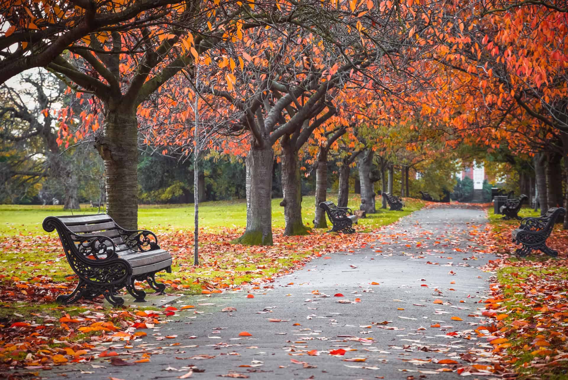 greenhich parc