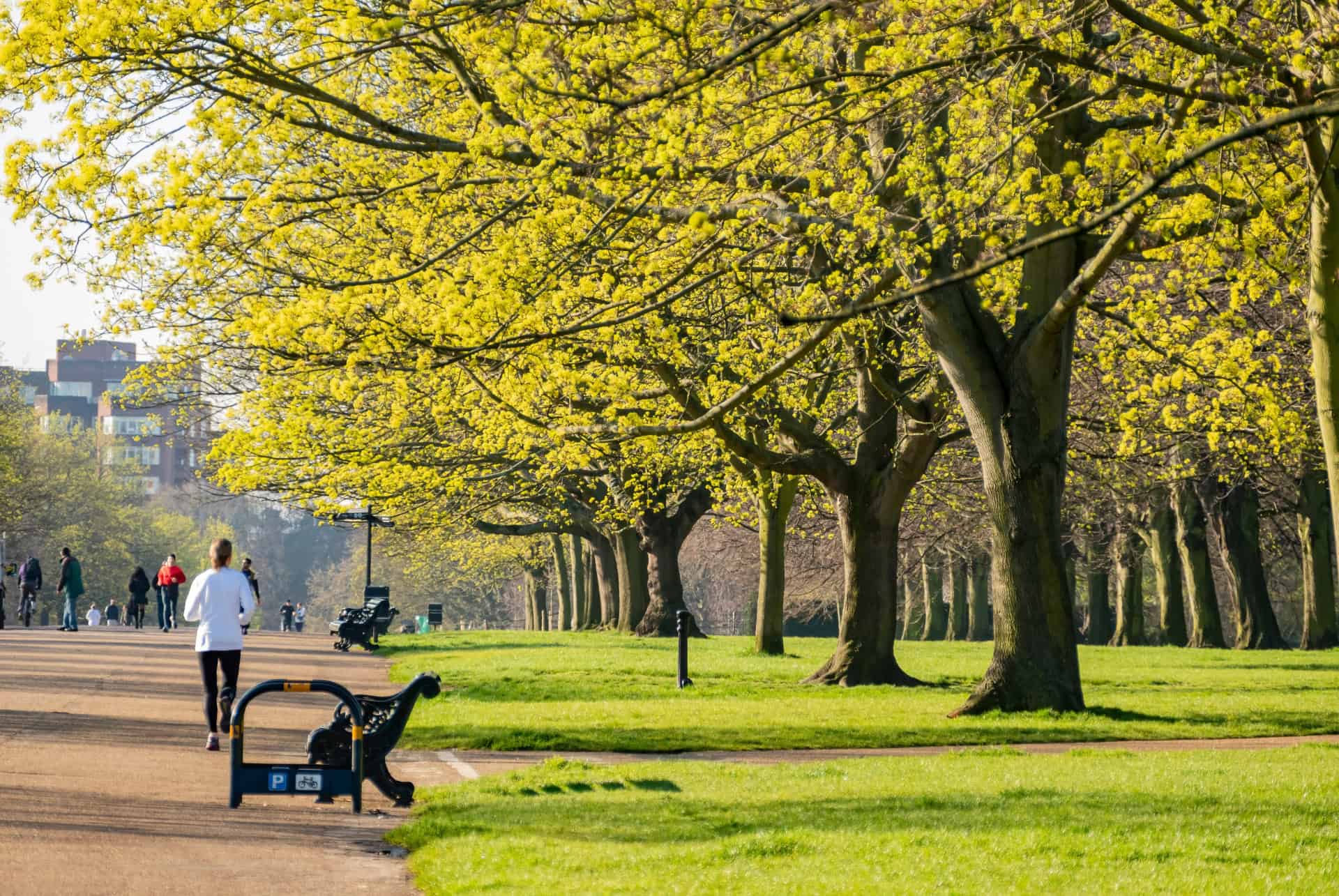 hyde park londres en septembre