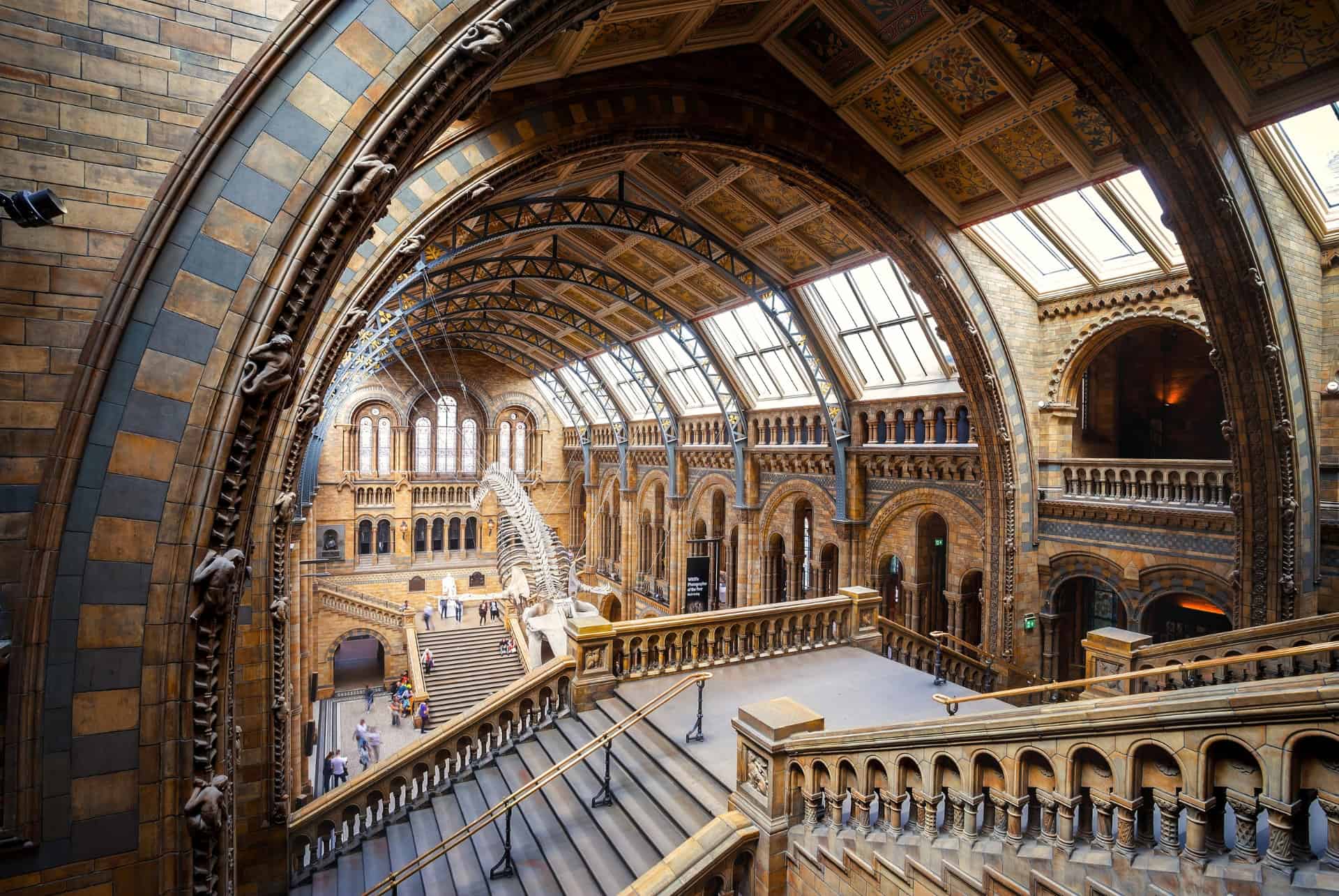 londres en automne musee histoire naturelle