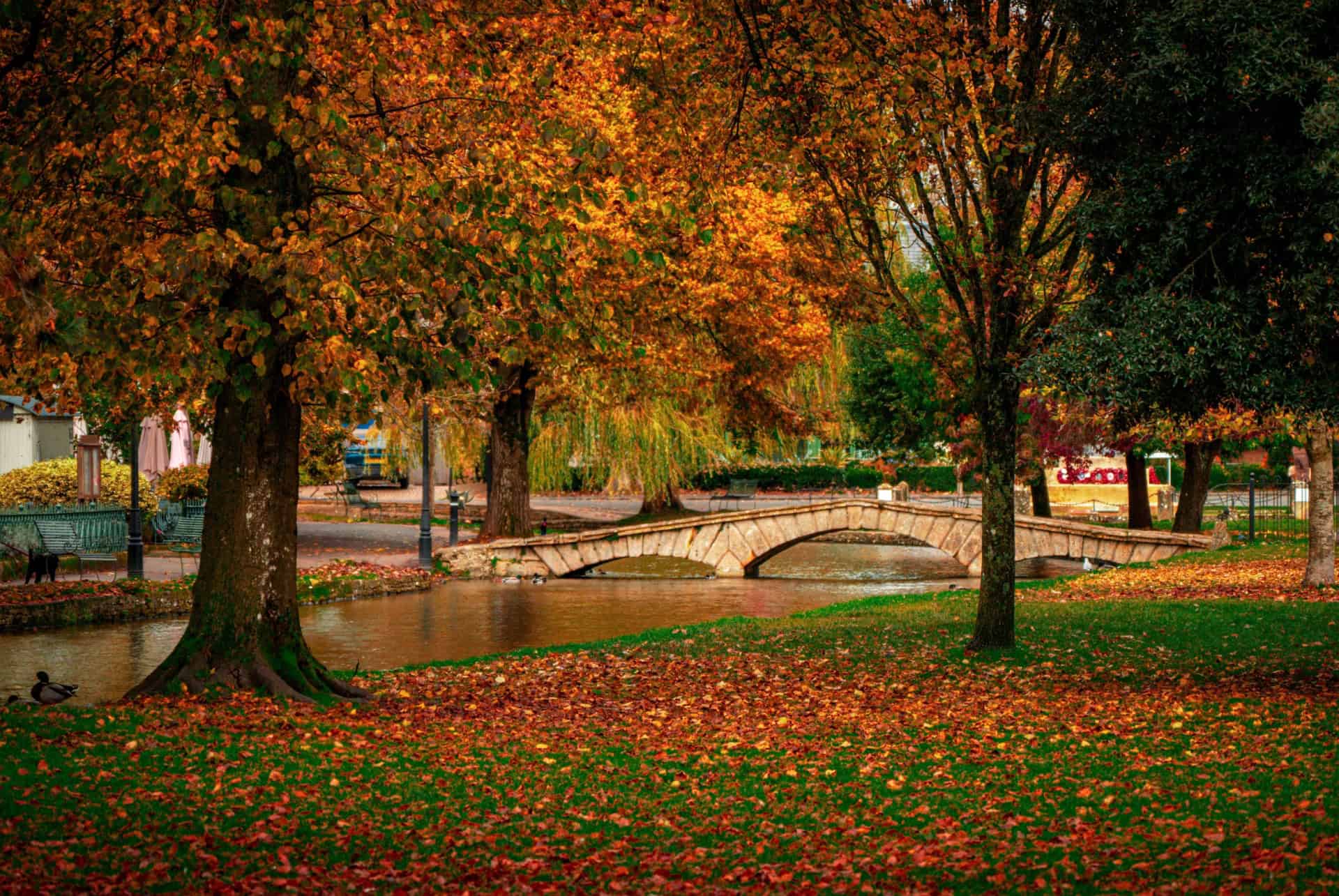 excursion vers les cotswolds