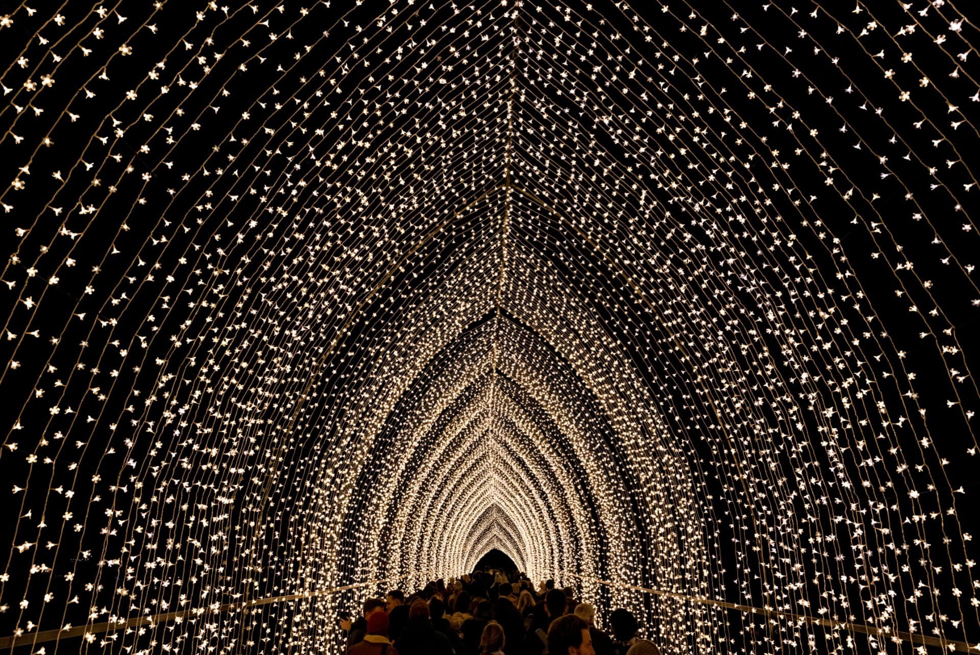 kew garden illuminations noel a londres