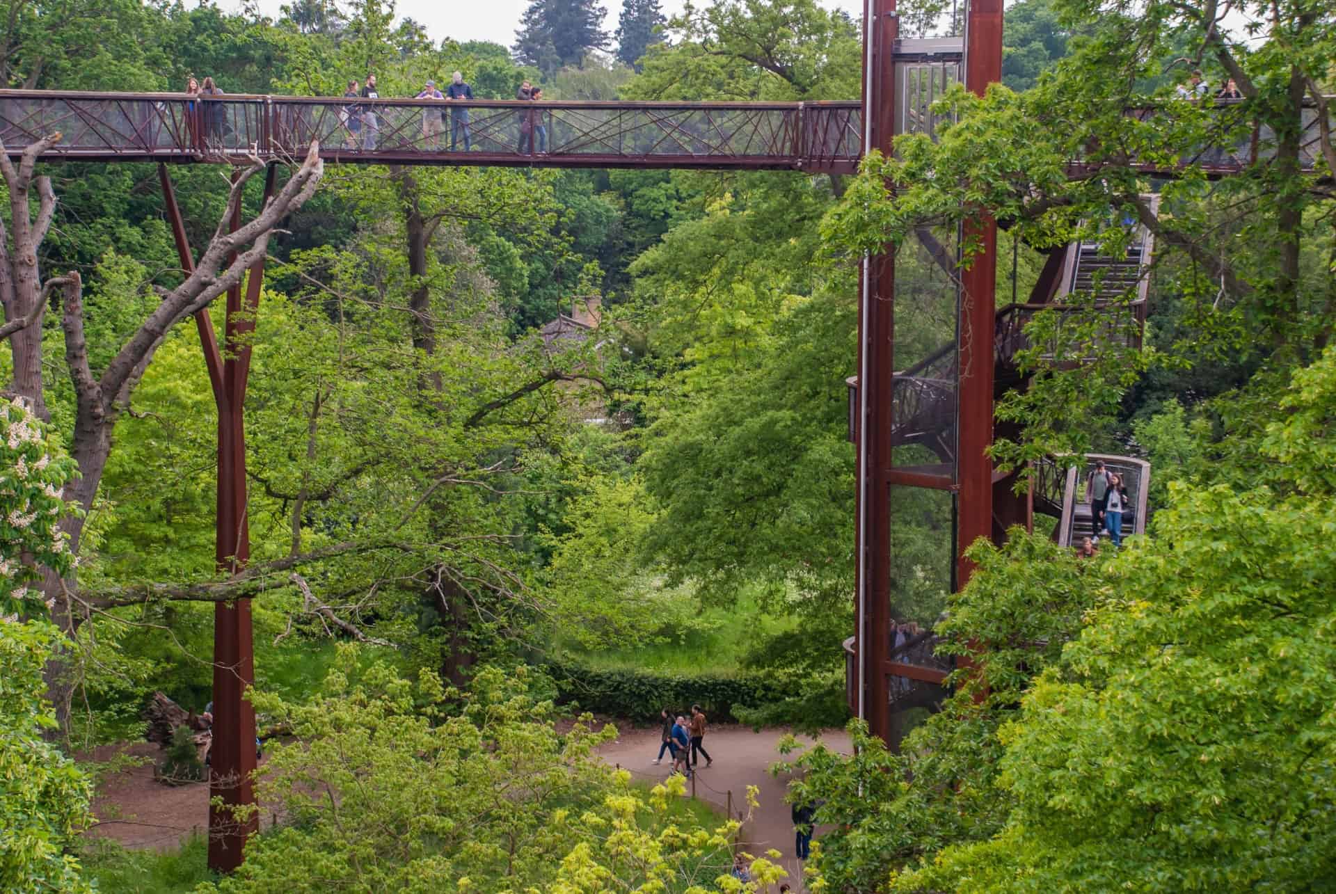 treetop walkway jardins royaux