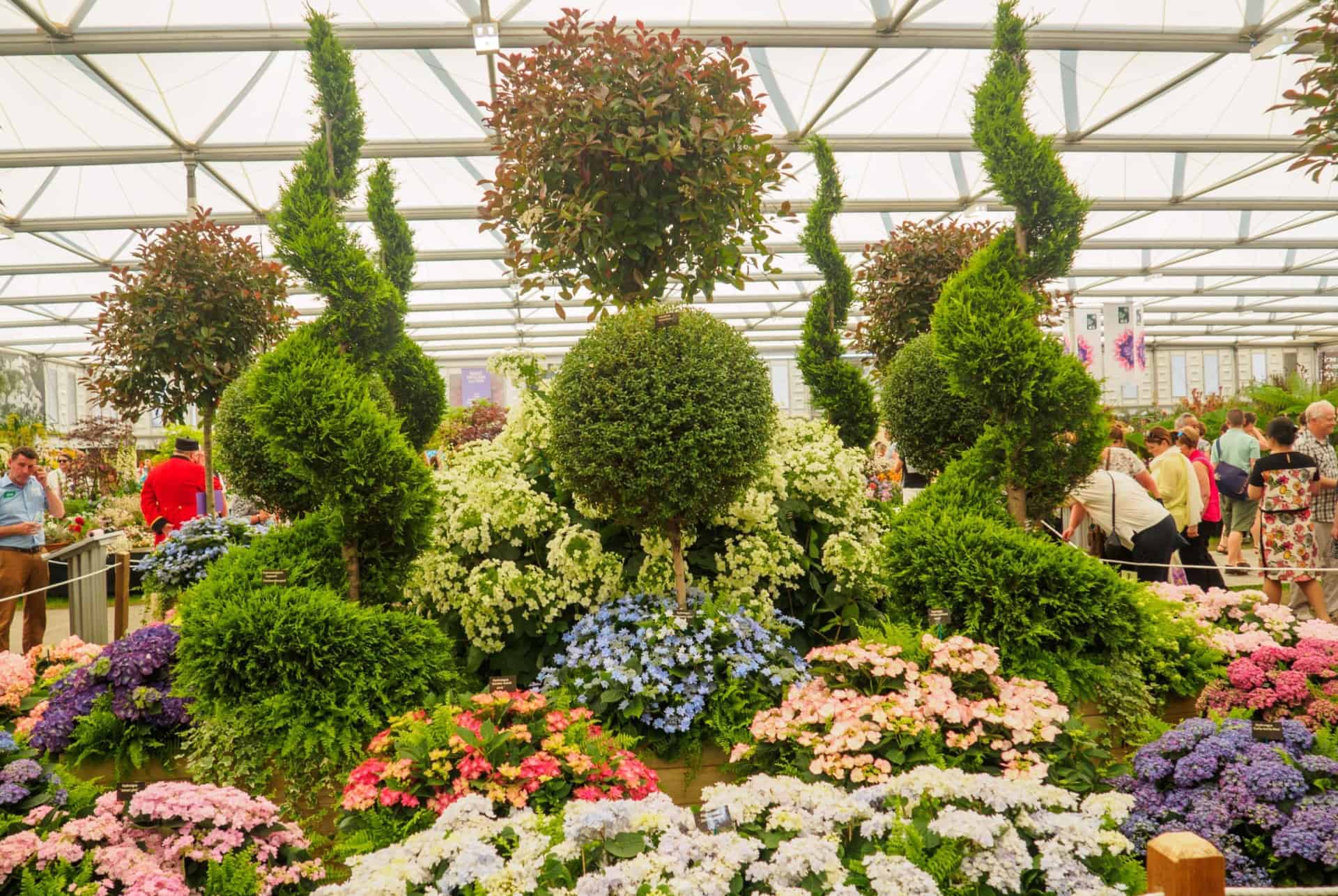 que faire a chelsea flower show